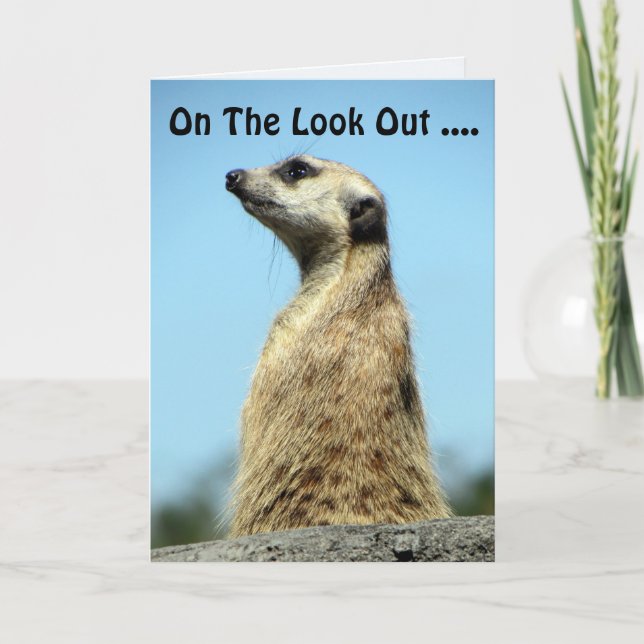 Meerkat Birthday Card Kort (Framsida)