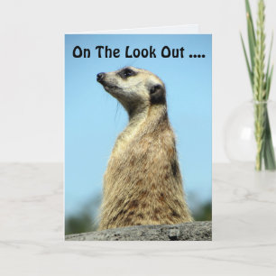 Meerkat Birthday Card Kort