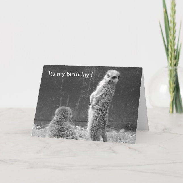 Meerkat Birthday Card Kort (Framsida)