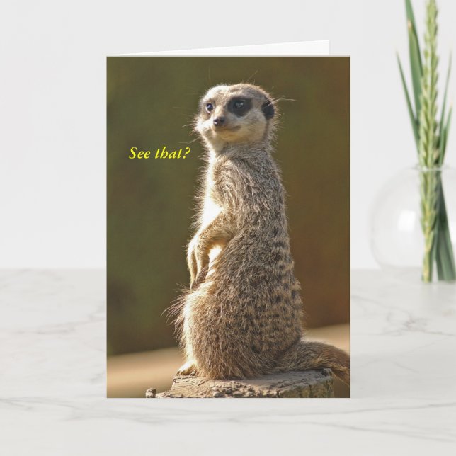 Meerkat Birthday Card Ser du det? c Kort (Framsida)