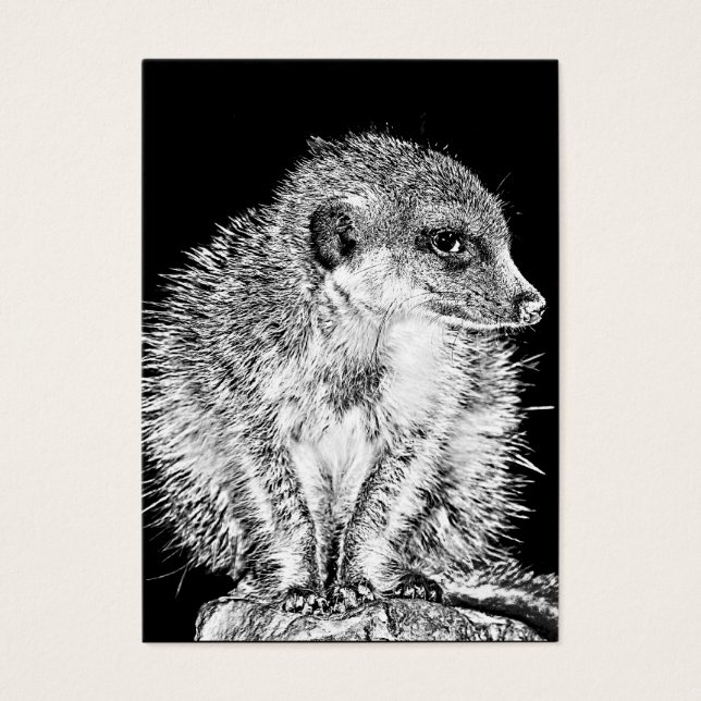 Meerkat, Black and White Visitkort (Framsidan)