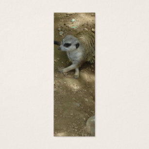 Meerkat Bookmark Litet Visitkort