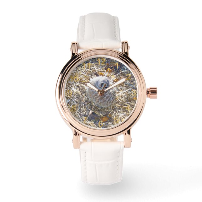 Meerkat Bygger ett bo. Armbandsur (Framsida)