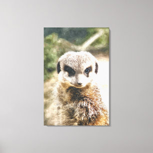 MEERKAT CANVASTRYCK