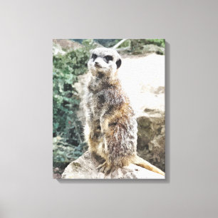 MEERKAT CANVASTRYCK