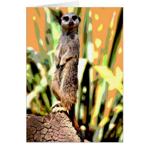 Meerkat Card Hälsningskort