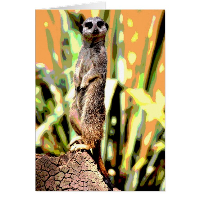 Meerkat Card Hälsningskort (Framsidan)