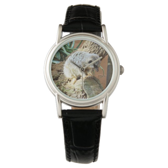 Meerkat Cat Naps, Dam Black Leather Watch. Armbandsur (Framsida)
