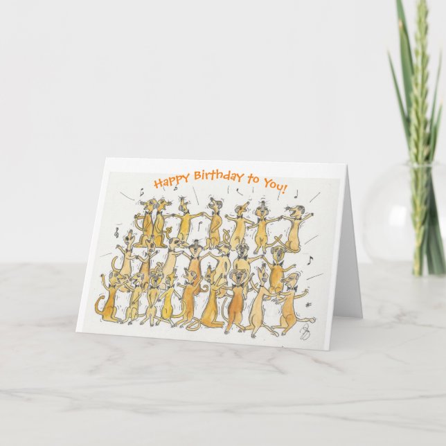 Meerkat Choir Grattis på födelsedagen! Kort (Framsida)