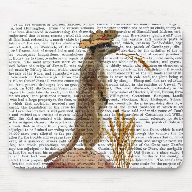 Meerkat Cowboy Musmatta (Framsidan)