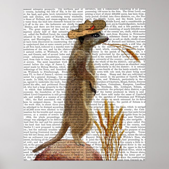 Meerkat Cowboy Poster (Framsidan)