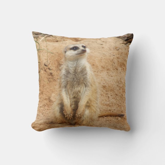 Meerkat dämpar kudde (Framsida)