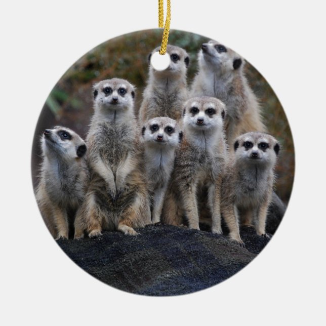Meerkat djur Safariafrika gulliga Suricate Julgransprydnad Keramik (Framsidan)