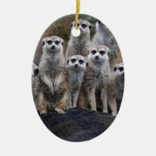 Meerkat djur Safariafrika gulliga Suricate Julgransprydnad Keramik