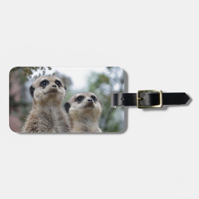 Meerkat - Dreamtem Bagagebricka (Horisontell Framsida)