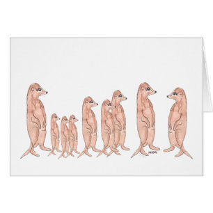 Meerkat familjkort OBS kort