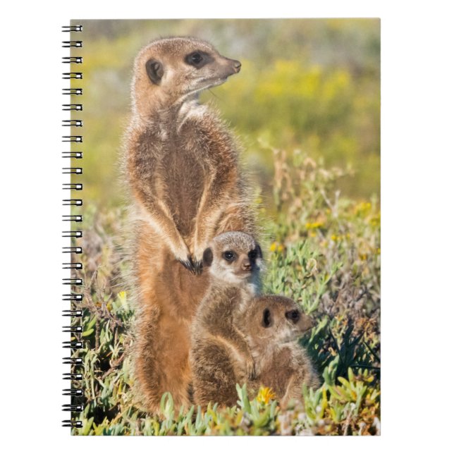 Meerkat Family Porträtt Anteckningsbok (Framsidan)