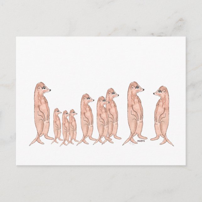 Meerkat Family Postcard Vykort (Framsida)