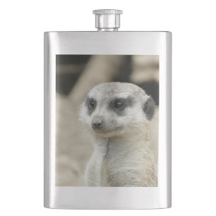 Meerkat Fickplunta