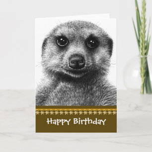 Meerkat födelsedagkort kort