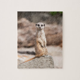 Meerkat fotopussel