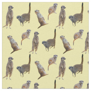 Meerkat frenesityg (gult) tyg