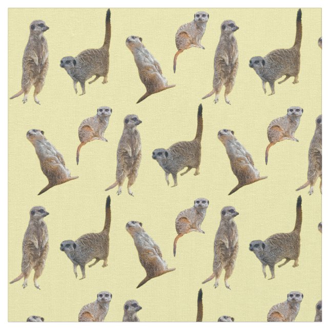 Meerkat frenesityg (gult) tyg (Närbild)