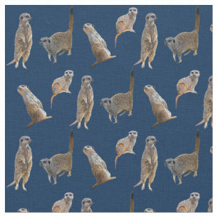 Meerkat frenesityg (marinen) tyg