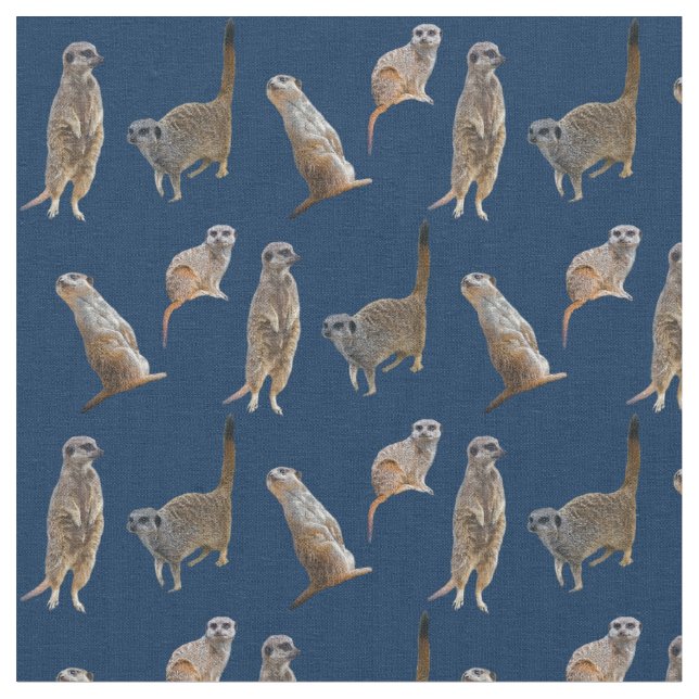 Meerkat frenesityg (marinen) tyg (Närbild)