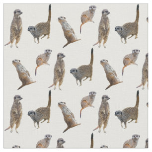 Meerkat Frenzy Fabric (välj färg) Tyg