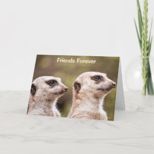 Meerkat Friends Forever Kort