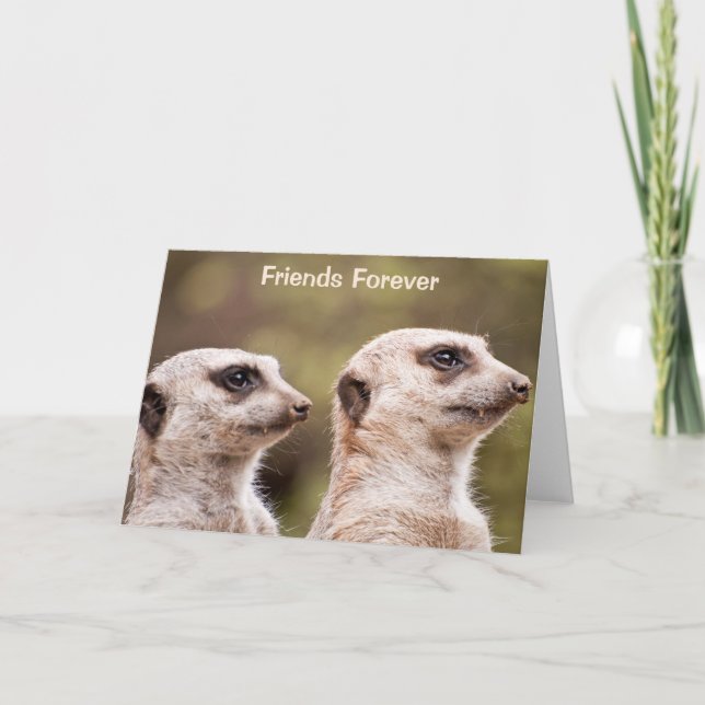 Meerkat Friends Forever Kort (Framsida)