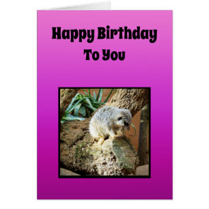 Meerkat Girls Birthday Theme Hälsningskort