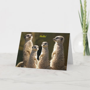 Meerkat grupphejer! kort