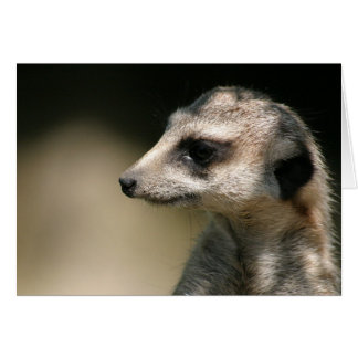 Meerkat Hälsningskort