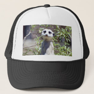 Meerkat hatt keps