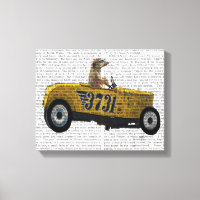 Meerkat i Hot rod
