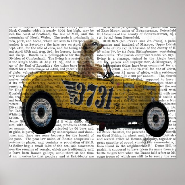 Meerkat i Hot rod Poster (Framsidan)