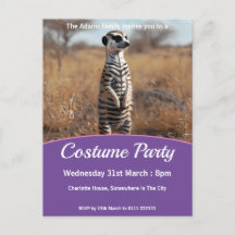 Meerkat in Zebra Disguise Costume Party
