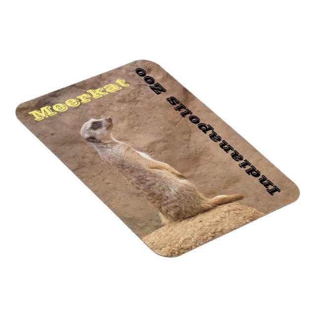 Meerkat Indianapolis Zoo Magnet (Högersidan)