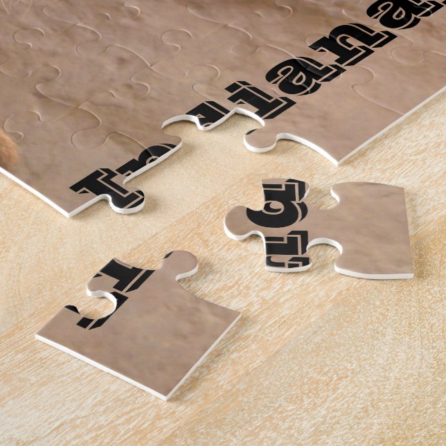 Meerkat Indianapolis Zoo Pussel (Sidan)