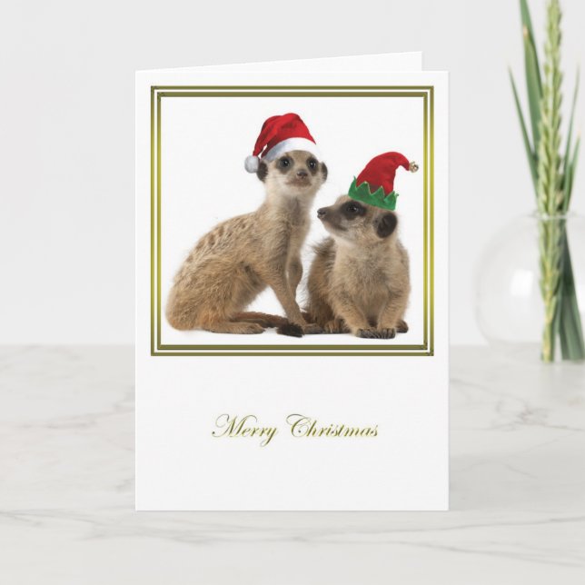 Meerkat jul 1 helgkort (Framsida)