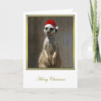 Meerkat jul 2 helgkort