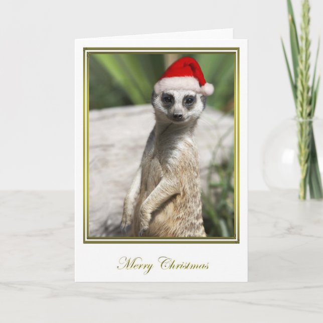 Meerkat jul 4 helgkort (Framsida)