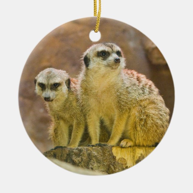 meerkat julgransprydnad keramik (Framsidan)