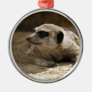 Meerkat Julgransprydnad Metall