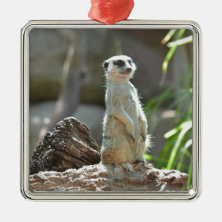 Meerkat Julgransprydnad Metall