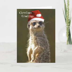 Meerkat-julhälsningskort Helgkort