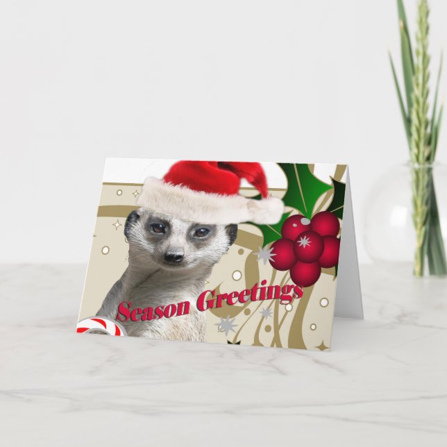 Meerkat julkort helgkort (Framsida)