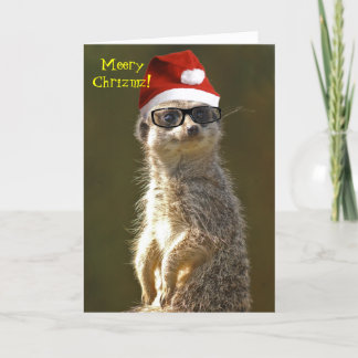 Meerkat julkort helgkort